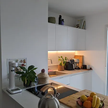 Spacieux Duplex Villejuif